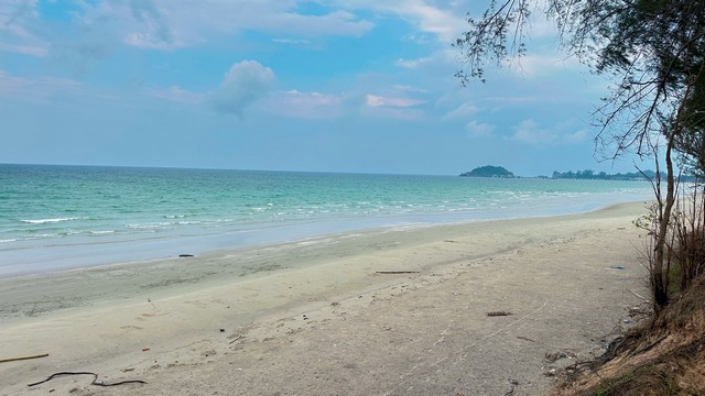 ขายที่ดินใกล้หาดบางเบิด หน้าแปลงที่ดินติดถนนทางหลวง ใกล้หาดบางเบิด 1 กม.++ ขนาดที่ดิน 50-1-18 ไร่ โฉนดครุฑแดง พร้อมโอน ค่าโอน คนล่ะครึ่ง ++ ขายราคาไร่ล่ะ 8 แสน -1.5 ลบ.ด้านหน้าติดถนนทางหลวงหมายเลข 1015 พิกัด: ใกล้หาดบางเบิด ต.ทรายทอง อ.บางสะพานน้อย จ.ประจวบฯสถานะที่ดิน:++ ภายในที่ดินเป็นสวนทุเรียนที่เก็บผลผลิตได้แล้วจำนวน 300 ต้นเก็บผลผลิตขายได้ 7-8 แสนต่อปี++ ทุเรียนอายุ 3 ปี �