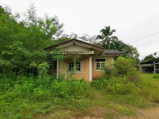   ขาย บ้านเดี่ยว/ทาวน์เฮ้าส์/คอนโด โครงการ ขาย บ้านเดี่ยว  เขาพนม  ถนน เหนือคลอง-ชัยบุรี กระบี่ ถนน เหนือคลอง-ชัยบุรี (4037) ตำบล เขาพนม อำเภอ เขาพนม จังหวัด กระบี่  ราคาโปรโมชั่น   1,367,000   บาท    ลดจาก  1,955,000    บาท ราคาโปรโมชั่นตั้งแต่วันที่  2 มีนาคม - 31 พฤษภาคม 2569  รายละเอียดทรัพย์ -  เนื้อที่ 319.70 ตร.ว.  พื้นที่ใช้สอย 151.23 ตร.ม. -  3ห้องนอน  1ห้องน้ำ  -  บ้านหันไปทางทิศ ตะวันตก  พิกัดทรัพย์ : https://maps