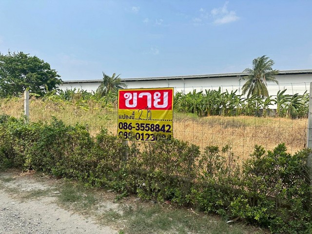 ZT913 ขายที่ดิน ซอยกิ่งแก้ว 25/1 เนื้อที่ 400 ตารางวา กว้าง 38 เมตร ลึก 42 เมตรที่ตั้ง : ซอยกิ่งแก้ว 25/1 ตำบลราชาเทวะ อำเภอบางพลี จังหวัดสมุทรปราการสถานที่ใกล้เคียงใกล้สนามบิน (15 กิโลเมตร)ใกล้รพ.จุฬารัตน์ 9 (1.8 กิโลเมตร)ใกล้นิคมอุตสาหกรรมเจโมโปลิส (300 เมตร)ขาย 25,000,000 บาท / 62,500 บาทต่อวา ติดต่อหนุ่ม 0880123084ยุ้ย 0863558842รับฝาก-ขาย บ้านที่ดิน อสังหาริมทรัพย์ทุกประเภทบริษัท เซียน พร๊อพเพอร์ตี้ �