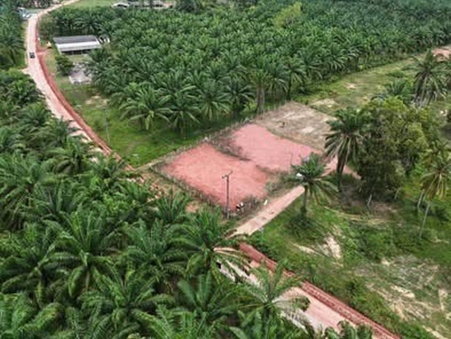 ขายที่ดิน Seaview ติดทะเล บนผาฝั่งแดง และที่ดินใกล้ทะเลห่างไม่มากราคาดีดี มีให้เลือกหลากหลายแปลงสวยๆเนื้อที่ตามที่ต้องการตั้งแต่ 100 วา ขึ้นไป ที่ดินติดทะเลผาฝั่งแดง เนื้อที่ 2-6ไร่ ขายราคาไร่ล่ะ 3.5 ล้านบาทโฉนดครุฑแดง พร้อมโอน ค่าใช้จ่ายในการโอน คนละครึ่ง+++ ไฟฟ้า ประปา เข้าถึง+++ มีทางสาธารณะเข้าถึงที่ดิน การเดินทางสะดวก+++ ห่างจากถนนทางหลวง 300 เมตรที่ตั้ง: หาดฝั่ง