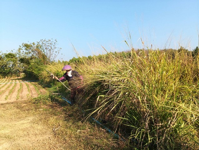 ขายที่ดินติดแม่น้ำโขง  เลขที่โฉนด 17851 เนื้อที่  18-2-70 ไร่ ต.กุดบง อ.โพนพิสัย จ.หนองคาย ด้านหน้าติดถนนโยธาธิการ หนองคาย ด้านหลังติดแม่น้ำโขง  ซื้อทรัพย์โปรพิเศษผ่อนโดยตรงกับเจ้าของได้ ทรัพย์ดีราคาคุยกันได้แถมวางดาวน์ผ่อนต่อได้ ขายยกแปลงไร่ละ 800,000 บาท  แบ่งขายไร่ละ 1 ล้านบาท ใกล้สะพานมิตรภาพไทย - ลาว  อยู่ในแหล่งชุมชน ใกล้โรงเรียน ใกล้โรงพยาบาล ใกล้วัดสำคัญทางพุท