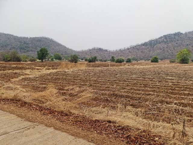 ขายที่ดินติดภูเขา เลขที่โฉนด 91711 ต.พระนอน อ.เมือง จ.นตรสวรรค์ 5ไร่เศษ แบ่งโฉนดขาย ไร่ละ 300,000  บาท โทร 096-882-1857 เอกสารสิทธิ์โฉนดครุฑแดง  ที่สวยวิวสวย วิวดีมากมาย อยู่ระหว่างหุบเขา 2 ลูก  ขนานกัน ดินดีสมบูรณ์ เพาะปลูกได้งาม  ใกล้แหล่งชุมชน  ใกล้ UFO เขากะลา ถิ่นมหัศจรรย์น่าพิสูจน์มนุษย์ต่างดาว   ใกล้มูลนิธิปากน้ำโพ  อยู่ใกล้วัดคีรีสวรรค์   ใกล้ ส.คอบร่า แคมป์  ไม่ไกลจากโรงเร