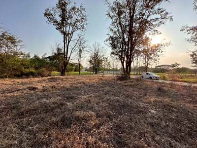 ขายที่ดินเปล่า ราคาต่ำกว่าตลาดข้างเคียง  ต.ห้วยทราย อ.สันกำแพง จ. เชียงใหม่ห่างจากสี่แยก หนองประทีป 18 กม. 348 ตรว. ขาย 1.25 ล้านบาทพิกัด : ต.ห้วยทราย อ.สันกำแพง  จ.เชียงใหม่ราคาขาย : 1,250,000  บาทที่ดินเปล่า เหมาะสร้างบ้าน หรือไว้ทำบ้านพักต่างอากาศ   ..........................................Please​ Contact ; PhungTel. 0946935153ID Line ; @dlive  (ใส่แอด@ข้างหน้าด้วยนะคะ) เน้นทักแชทก่อนนะคะหรือกดเพิ่มเพื่อนคลิ๊กที่ลิงค์นี้ค่ะ  https://lin.ee/yGDf