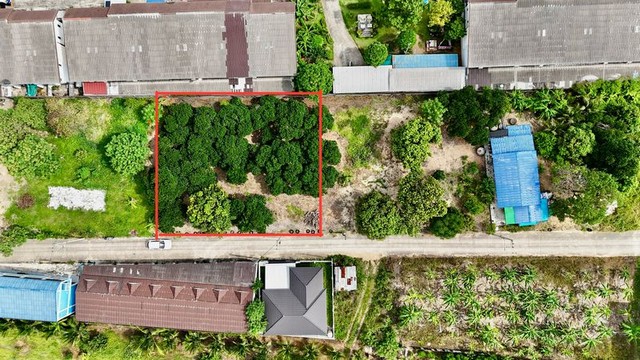 TEL : 092-288 9359 คุณดนิตาLine : https://line.me/ti/p/yxo92dHWP1รายละเอียด : ที่ดินโฉนด ขนาด 233 ตารางวาที่ดินเป็นรูปสี่เหลี่ยมสวยงามหน้ากว้างติดถนน 31 เมตรลึกข้างละ 25 เมตรติดถนนสาธรณะกว้าง 6เมตร (คอนกรีต)ไฟฟ้า,ปะปาพร้อม***สามารถซื้อแบ่งได้ 100 ตารางวา***ตกตารางวาละ 20,000 บาท(ต่อรองได้)สาธรณูปโภคครบครัน อาทิเซเว่น,โลตัส,ร้านอาหาร,โรงพยาบาล,โรงเรียน,ห้างเซ็นทรัลสถานที่ใกล้เคียง : - ใกล้แหล่งชุมชน- ล้อมรอ�