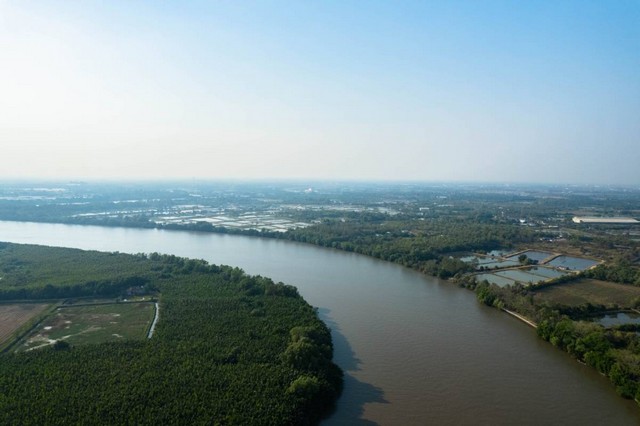                     ขายที่ติดแม่น้ำบางปะกง  346 ตรว.   ถมแล้วเต็มพื้นที่เสมอถนนด้านหน้า และมีที่งอกเพิ่มออกมาอีกมาก   แม่น้ำที่ไหลผ่านหน้าแปลงที่ดิน กว้างมากๆ ( กว้างประมาณ 250 เมตร )                     บรรยากาศธรรมชาติ เงียบสงบ ไม่มีมลพิษ  ที่ดินมีรูปร่างสี่เหลี่ยมผืนผ้าสวย     มีไฟฟ้า ประปา ผ่านหน้าแปลงที่ดินพร้อมใช้  และมีรั้วคอนกรีตสูง  2  เมตรแล้ว 1 ด้าน            ถนนหน้าแปลงที่ดินกว้าง 9.5 เ�