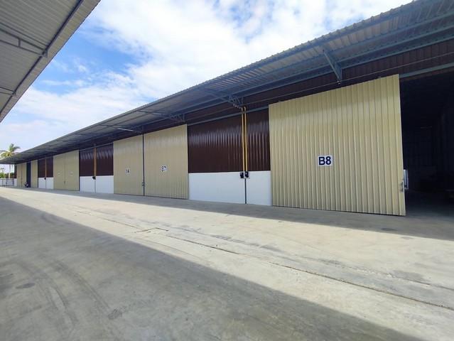 ให้เช่าโกดัง160 ตรม. ไฟฟ้า 3 เฟส  ซอยบางพลับ ชัยพฤกษ์ ราชพฤกษ์ นนทบุรีสนใจติดต่อ คุณเจี๊ยบ Tel. 093 678 5948 Tel. 094 448 5038 id : jeab_chickโกดังขนาดพื้นที่ 160 ตรม. ห้องน้ำไฟฟ้า 3 เฟสราคา 26,000 บาท/เดือน(ราคานี้สำหรับสัญญา 1 ปี)ประกัน 2 เดือน + ล่วงหน้า 1 เดือนสถานที่ใก้ลเคียงติดถนนชัยพฤกษ์-ราชพฤกษ์ถนนรัตนาธิเบศน์พระราม 5 ถนนนครอินทร์ถนน 345ทางด่วนแจ้งวัฒนะ ปากเกร็ดที่ตั้ง ต.บางพลับ อ.ปากเกร็ด จ.นนทบุรี