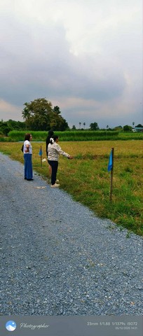 ถูกมาก ที่ดิน 1งานเริ่ม 3.9แสน฿ อ.เมือง นครปฐม ถนนหินคลุก ใกล้องค์พระปฐมฯ ฟรีโอน T.o86-3ol-6l6lพิกัด ต.สวนป่าน  อ.เมือง จ.นครปฐมที่ดินแบ่งขาย ถูกมาก ใกล้ชุมชน ถนนหินคลุก น้ำไฟเข้าถึง  ฟรีค่าโอนเนื้อที่100ต.ร.ว เริ่มต้น 390,000 ฿ สอบถาม/นัดเยี่ยมชม T.วรุณรัตน์ 086-301-6161   o86-3ol-6l6l-ฟรีค่าโอน-ฟรีค่ารังวัด- ฟรีค่าแบ่งแยกห่างจากกรุงเทพฯ 65 กม.ห่างจากองค์พระปฐมเจดีย์ 13 กม.ห่างจากถนนเพชรเกษม 2.5กม.ห่า�