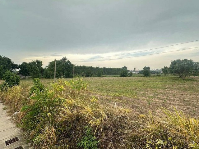 TEL : 092-288 9359 คุณดนิตาLine : https://line.me/ti/p/yxo92dHWP1รายละเอียด : เนื้อที่ขนาด 2-0-32 ไร่  (832 ตรว.)ที่ดินหน้ากว้าง 75 เมตร ลึก 45 เมตรติดถนนสาธารณะ 8 เมตรห่างจากถนนเส้น 331 ประมาณ 800 เมตรที่สวยมากก ไม่ต้องถมราคาขายไร่ละ 3,700,000 ลบ.ราคาตารางวาละ 9,250 บาท ราคาขายยกแปลง 7,696,000 ลบ.ค่าใช้จ่ายวันโอน คนละครึ่งF-A14 (1153)