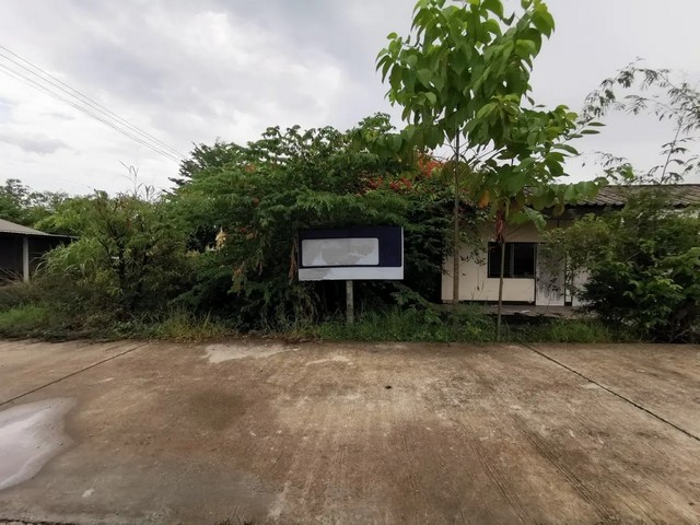    ขาย บ้านเดี่ยว เมืองพิษณุโลก ถนน บรมไตรโลกนารถ ราคาโปรโมชั่น ลดพิเศษ  ซอย บรมไตรโลกนารถ 29 ถนน บรมไตรโลกนารถ ตำบล วัดจันทร์ อำเภอ เมืองพิษณุโลก จังหวัด พิษณุโลก  ราคาโปรโมชั่น  4,851,000  บาท    ลดจาก  7,259,000  บาท ราคาโปรโมชั่นตั้งแต่วันที่  2 มีนาคม - 31 พฤษภาคม 2569  รายละเอียดทรัพย์ -  เนื้อที่ 717.00 ตร.ว.   พื้นที่ใช้สอย 484.00 ตร.ม. -  บ้านหันไปทางทิศ  เหนือ  พิกัดทรัพย์ : https://maps.app.goo.gl/VTEWFZDWbMtri7zH8  สถานท