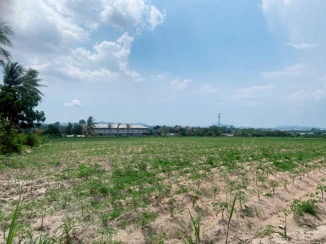 TEL : 092-288 9359 คุณดนิตาLine : https://line.me/ti/p/yxo92dHWP1รายละเอียด : เนื้อที่ขนาด 25-1-29 ไร่  (10,129 ตรว.)บึง ศรีราชา ชลบุรีถนน  3 ด้านน้ำไฟ 3 เฟสหน้าเเปลงราคาขายไร่ละ 3,000,000 ลบ.ราคาตางรางวาละ 7,500 บาท ราคาขายยกแปลง 75,967,500 ลบ. สถานที่ใกล้เคียง : - ท่าเรือเเหลมฉบัง 17 กม.- สนามบินอู่ตะเภา 53 กม.- นิคมมาบตาพุด 55 กม.- นิคมอีสเทิร์นซีบอร์ด 14 กม.- นิคมอมตะซิตี้ 9.3 กม.- นิคมWHA1บ่อวิน 14 กม.- นิคมปิ่นทอง 3/14 กม.- ตลาดวรกิจ 2.8 กม.- รร.บึง วิท�