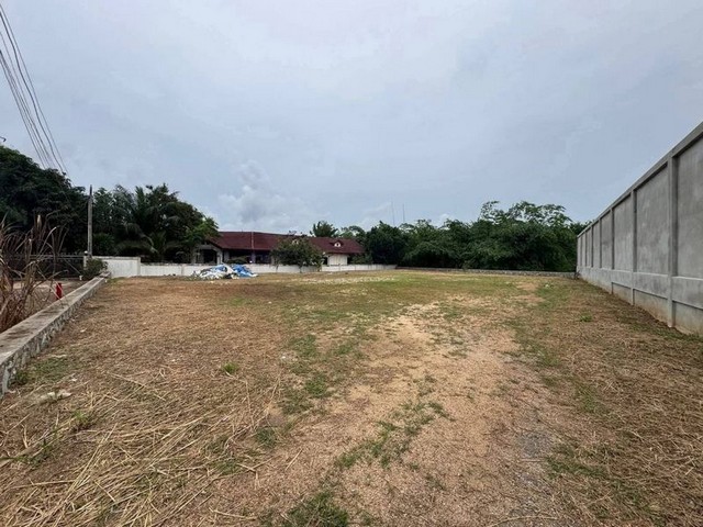 TEL:088-559 5199 คุณเอLine:https://line.me/ti/p/C0eGe0whLXขายที่ดินเปล่า พัทยา ใกล้อ่างเก็บน้ำมาบประชันน้ำ-ไฟ พร้อม ติดถนนคอนกรีตนื้อที่ 226 ตารางวา ที่สวย ไม่ต้องถม  ขายเพียง 4 ล้านบาทเดินทางสะดวก- ใกล้โรงเรียนนานาชาติไฮเกต | รักบี้ | รีเจ้นท์ | หัสดิน - ใกล้มอเตอร์เวย์สาย 7 ด่านบางละมุง - ใกล้ร้านสะดวกซื้อ มีร้านค้า ร้านอาหารมากมาย(563)T : A15