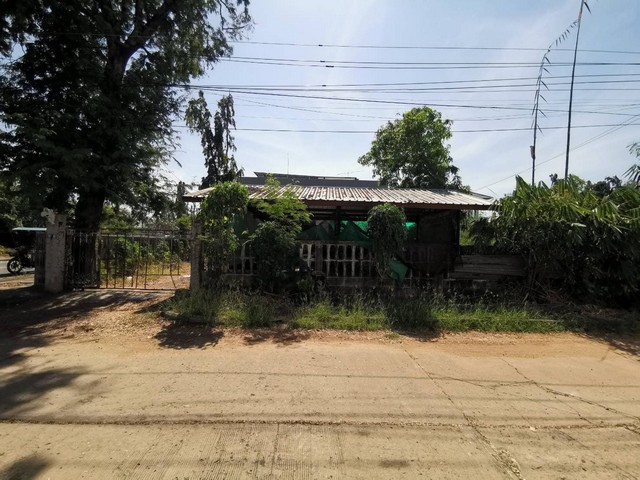  รหัสทรัพย์ (Code ID) :  PTT-26-B13308  ราคา  2,238,000 บาท (ราคาต่อรองได้) ▸ เนื้อที่ 99.90 ตารางวา พื้นที่ใช้สอย 243 ตารางเมตร   ▸ 2 ห้องนอน 1 ห้องน้ำ     ▸ 1 ที่จอดรถ   บ้านเดี่ยวหันไปทางทิศ   พิกัดทรัพย์ :  https://maps.app.goo.gl/w2STq5FwB1k2GLYY9  สถานที่ใกล้เคียง ▸ใกล้โฮมโปร บุรีรัมย์ ▸ใกล้โรงพยาบาลบุรีรัมย์ ▸ใกล้บิ๊กซี ซูเปอร์เซ็นเตอร์ บุรีรัมย์ ▸ใกล้โรบินสัน ไลฟ์สไตล์ บุรีรัมย์  สอบถามเพิ่มเติม / นัดชม โทร. 097-419-5982(พลอย) โท�