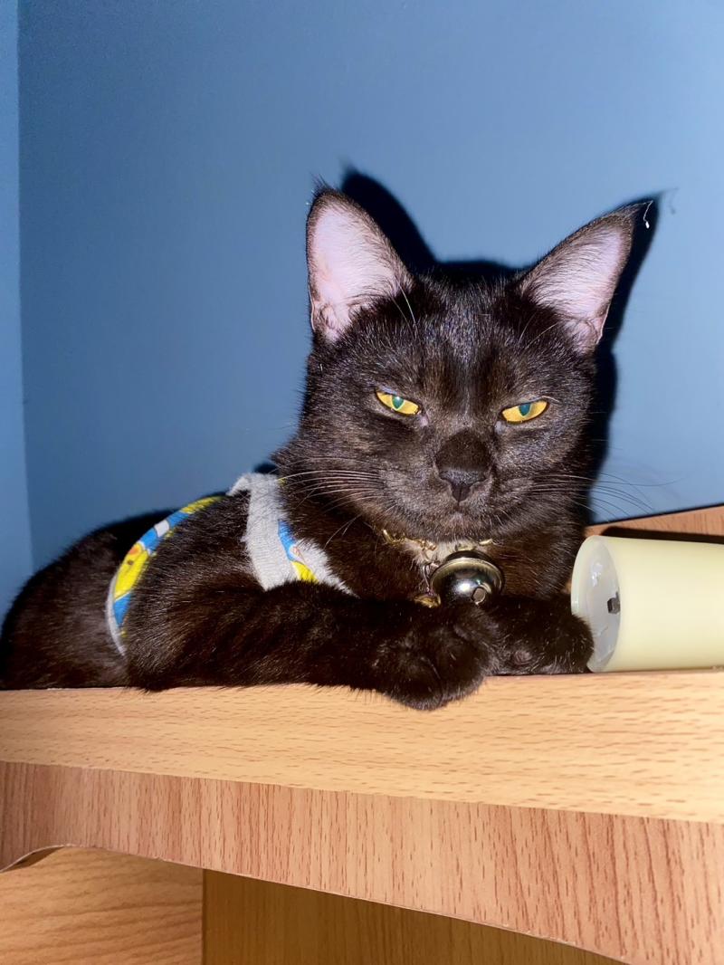 รอรูปเพิ่มPleno สุขสวัสดิ์ 30 ทาวน์โฮมสภาพใหม่ 17.5 ตร.ว. พร้อมเฟอร์นิเจอร์ ทำเลดี เชื่อมต่อเส้นทางหลักหลายสาย