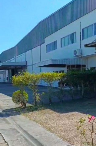 #ขายโรงงานบ้านบึงชลบุรี#ขายที่ดินพร้อมสิ่งปลูกสร้างบ้านบึงชลบุรี????️ผังม่วงลาย✴️บนพื้นที่  24  ไร่✴️ขนาดพื้นที่รวม 10,000 ตรม.????อำเภอบ้านบึง จังหวัดชลบุรี????ราคาขาย  300  ล้าน  (,,ค่าภาษีโอน  50/50 )✴️รายละเอียดซ✴️????ขนาดโรงงาน 1. =3,500 ตรม.????ขนาดโรงงาน 2.= 6,500 ตรม.????พื้นสีม่วงลาย????สามารถทำการผลิตได้????พร้อมใบอนุญาต รง4????พื้นรับน้ำหนักได้ 3 ตัน????จุดต่ำสุดภายในโรงงาน 9 เมตร????มีออฟฟิศ 2 ชั้