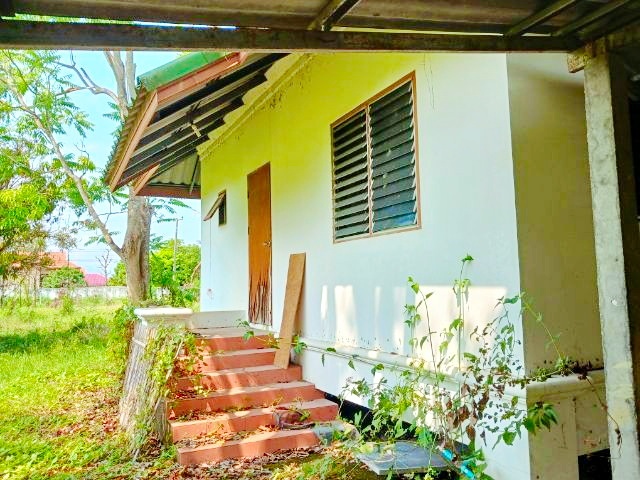 ฝาง ตลาดแม่มาลัย 1 กม. 6ไร่ บ้านพร้อมที่ดินแปลงใหญ่ 4 นอน 3 น้ำ ใกล้ถนนเชียงใหม่ 5,999 B-M. พื้นที่ใช้สอยกว้างขวาง ติดลำเหมือง วิวภูเขา เหมาะอยู่อาศัย ทำเกษตร หรือธุรกิจขนาดเล็ก ทำเลศักยภาพ ใกล้แหล่งชุมชน วัดแม่มาลัย 1.3 กม.และความเจริญ บรรยากาศธรรมชาติ วิวภูเขา ใกล้ถนนหลัก เดินทางสะดวกFang Road and Mae Malai Market 1 km. 6 rai Large house with land for sale 4 bed 3 bath near Chiang Mai approx 2.4 acres 5,999  B-M. spacious living area canal side mountain views suitable for residence agriculture or small busine