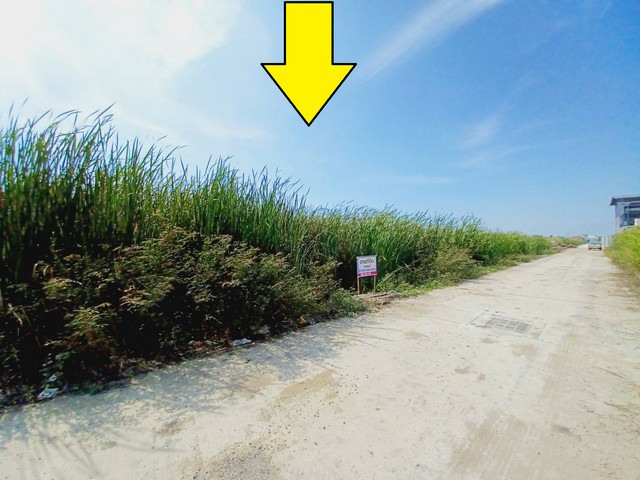 ขายที่ดิน ลำลูกกา คลอง4 เนื้อที่ 1 ไร่  *** ราคาขาย 6.5 ล้านบาท ( 16,250 บาท/ตรว) ( มีเนื้อที่ 1 ไร่  ) *** ขายที่ดินคลอง4 ลำลูกกา ถนน ไสวประชาราษฏร์ 1ไร่ ติดถนน 2 ด้าน เหมาะทำโกดัง ปลูกบ้าน  ทำเลดี ใกล้แหล่งชุมชน ที่ตั้งที่ดิน :    ตำบล ลาดสวาย อำเภอ ลำลูกกา ปทุมธานี 12150ขายที่ดิน เนื้อที่ดิน 1-0-0ไร่ คลอง4 ธัญบุรี-ลำลูกกา ติดถนนคอนกรีต- กว้าง 45 เมตร - ลึก 35.5 เมตรลักษณะ : ที่ดินเป็นรูปสี่เหลี่ยม �