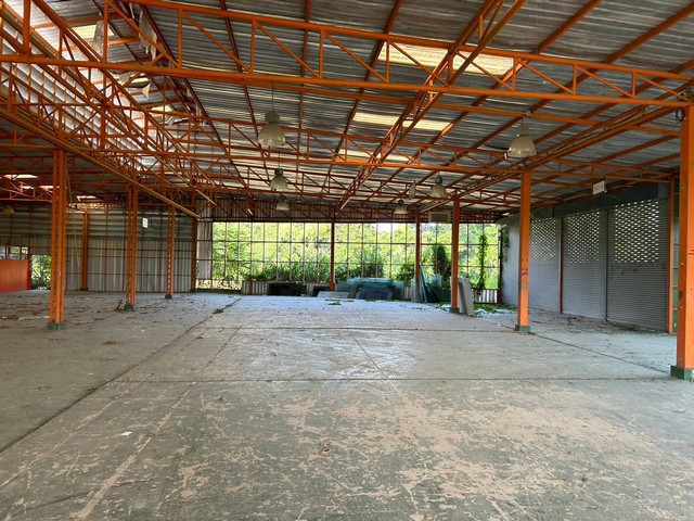   ขาย บ้านเดี่ยว/ทาวน์เฮ้าส์/คอนโด โครงการ โกดังเชียงใหม่  ถนน/ซอย ตำบล หนองหาร อำเภอ สันทราย จังหวัด เชียงใหม่  ราคา   5,840,000   บาท   ราคาโปรโมชั่นถึง 31 พฤษภาคม 2569  รายละเอียดทรัพย์ -  เนื้อที่ 762 ตารางวา  พื้นที่ใช้สอย 1,265.10 ตารางเมตร  -  บ้านหันไปทางทิศ ตะวันออกเฉียงใต้  พิกัดทรัพย์ : https://share.google/yW7RbioW1Ajeedz6S  สถานที่ใกล้เคียง   -  มหาวิทยาลัยแม่โจ้ -  สำนักงานที่ดินจังหวัดเชียงใหม่ สาขาสัน