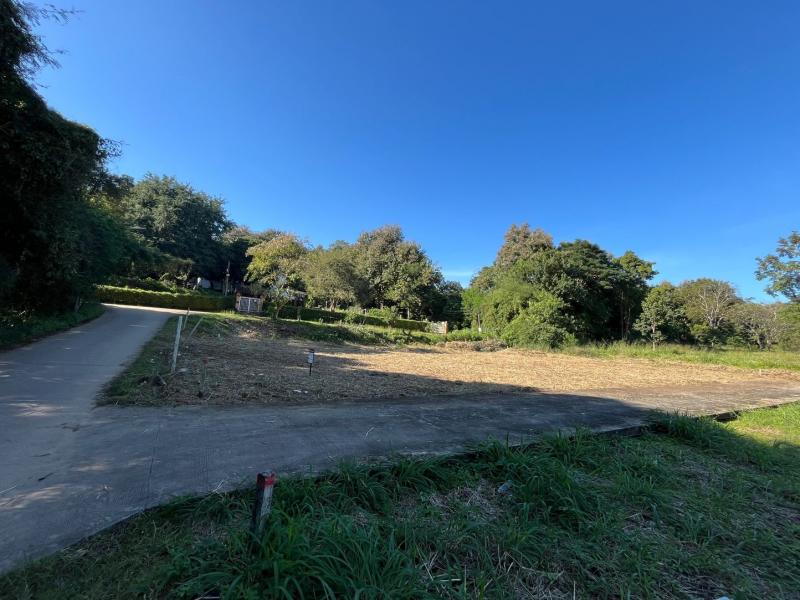 ขาย / ให้เช่าที่ดินเปล่า ทำเลทอง หลัง มช. (ใกล้ มหาวิทยาลัยเชียงใหม่)ที่ตั้ง : ตำบลสุเทพ อำเภอเมืองเชียงใหม่ เชียงใหม่ 50200ขนาดเนื้อที่ :  220 ตรว. รายละเอียดหลังมหาวิทยาลัยเชียงใหม่ (โซนหลังมอ)กาแลซอย 1 (ใกล้ลานเสี่ยว)แหล่งชุมชน นักศึกษา และธุรกิจขนาดย่อมถนนสาธารณะเข้า-ออกได้ถึง 3 ด้านเหมาะสำหรับทำธุรกิจ / ลงทุนระยะยาวศักยภาพการพัฒนามีแบบก่อสร้างผ่านอนุญาตแล้ว พ�