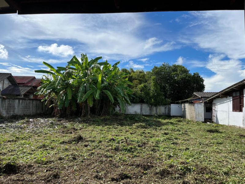 ขายที่ดินพร้อมบ้าน 2 หลัง ใกล้เมืองเชียงใหม่ (สันป่าตอง)ที่ตั้ง : ตำบลมะขามหลวง อำเภอ สันป่าตอง จังหวัด เชียงใหม่ 50120ขนาดเนื้อที่ : 247ตรว.รายละเอียดสินค้า-ที่ดินพร้อม บ้าน 2 หลัง (สภาพต้องรีโนเวท)-ที่ดินทำเลดี สามารถทำห้องเช่าได้ -บรรยากาศดี เงียบสงบ ใกล้ชุมชน-ถนนสาธารณะเข้าออกสะดวก หลายทาง-น้ำไม่เคยท่วม-มี รั้วรอบทุกด้าน ปิดมิดชิด-มี บ่อน้ำบาดาล 2 จุด-มี ไฟฟ้า พร้