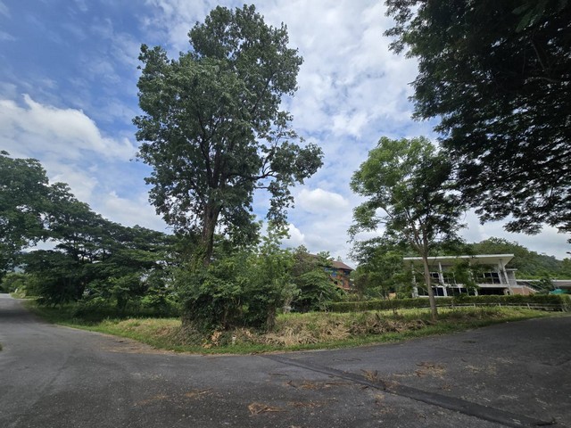 ขายที่ดินแปลงมุม 289.9 ตร.ว โครงการภูภัทรา 3 ปากช่อง – เขาใหญ่ ติดถนน 2 ด้าน วิวธรรมชาติ ใกล้แหล่งท่องเที่ยวที่ดินสวย ทำเลดีในโครงการจัดสรรชื่อดัง ภูภัทรา 3 แปลงมุม ติดถนน 2 ด้าน บรรยากาศธรรมชาติ เงียบสงบ เหมาะปลูกบ้านตากอากาศ หรือซื้อไว้ลงทุนระยะยาวรายละเอียดแปลงที่ดิน- ขนาด 289.9 ตารางวา- หน้ากว้าง 33 เมตร ลึก 36 เมตร- แปลงเลขที่ 23 ในโครงการ 3- พิกัด: 14.57515844,101.22485729- ติดถนน 2 ด้าน