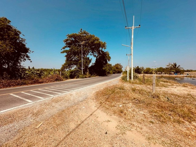 AOM 2686ขายที่ดิน ขนาดพื้นที่รวม 12-1-77 ไร่ ตำบลสระพัฒนา อำเภอกำแพงแสน จังหวัดนครปฐมขาย 16,175,250 บาท / ราคาคุยกันได้ที่ดินปัจจุบันให้เช่าทำบ่อกุ้ง ขายรวม 6 โฉนดผังเมือง สีเขียวที่ดินหันหน้าทิศเหนือหน้ากว้างติดถนนทางหลวง 100 เมตรทำเลดี ติดถนนทางหลวง สายสระพัฒนา-มาลัยแมนเหมาะสำหรับซื้อเพื่อการลงทุนใกล้ถนนมาลัยแมน 3 กม.ไกล้มหาวิทยาลัยเกษตรศาสตร์ กำแพงแสน 12 กม.ใกล้วัดหน�