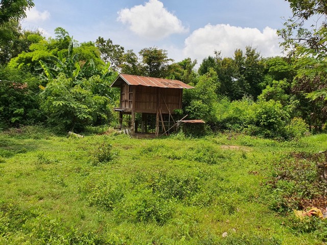   ขาย บ้านเดี่ยว/ทาวน์เฮ้าส์/คอนโด โครงการ โกดังพิจิตร  ถนน/ซอย ตำบล หลุบ อำเภอ เมืองกาฬสินธุ์ จังหวัด กาฬสินธุ์  ราคา   3,120,000   บาท   ราคาโปรโมชั่นถึง 31 พฤษภาคม 2569  รายละเอียดทรัพย์ -  เนื้อที่ 1,472.00  ตารางวา  พื้นที่ใช้สอย 582.25 ตารางเมตร  พิกัดทรัพย์ : https://share.google/sCn13vsUHMVzb6yp7  สถานที่ใกล้เคียง   -  โรงเรียนบ้านเหล็กกกกอกสามัคคี -  ตลาดสดทุ่งนาทอง -  วิทยาลัยนาฏศิลปกาฬสินธุ์ -  โรงพยาบาลกาฬสิ�