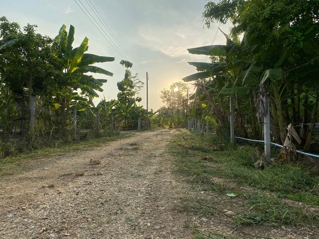 #ขายที่ดินพนัสนิคมชลบุรี#ขายที่ดิน 1 ไร่ 5 ตารางวา โคกหนองนาโมเดล ????ต.นาเริก อ.พนัสนิคม จ. ชลบุรี✅ราคาขายเพียง 1,700,000 บาท เท่านั้น!!!(ค่าโอน 50/50)✅ที่ดินพัฒนาต่อได้เลย✅บ่อปลา มีปลาหลายชนิด  นิล จารเม็ด สวาย ตะเพียน✅ต้นกล้วย มะม่วง ขนุน มะพร้าว กฐินเทพา ริมรั้วมีต้นไผ่หวาน ✅น้ำไฟ พร้อม ✅ห่างถนนเส้นหลัก เกาะโพธิ์-พนัสนิคม  300 เมตร ✅สามารถยื่นกู้ธนาคารได้ ____________________________สนใจติ�