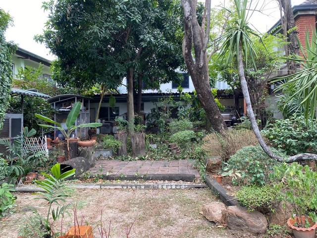 ให้เช่าบ้านเดี่ยว 2 ชั้น ซอยลาดพร้าว 128 ใกล้รถไฟฟ้าสถานีลาดพร้าว 101หากทำธุรกิจที่ต้องรีโนเวท ราคาเช่าลดได้อีก เช่น รีโนเวททำร้านอาหาร หรือคาเฟ่ราคาเช่า 85,000 บาท / เดือนที่ตั้ง ถนนลาดพร้าว ซอยลาดพร้าว 128 แขวงคลองจั่น เขตบางกะปิ กรุงเทพมหานครติดต่อ : คุณภัสพงณ์ 0634098164Line : deedee23https://www.facebook.com/profile.php?id=61581484955548เนื้อที่ 200 ตารางวา จำนวน 2 ชั้น 2 ห้องนอน 3 ห้องน้ำ จอดรถ 3 คันมีห้องนั่งเล่น ห้�