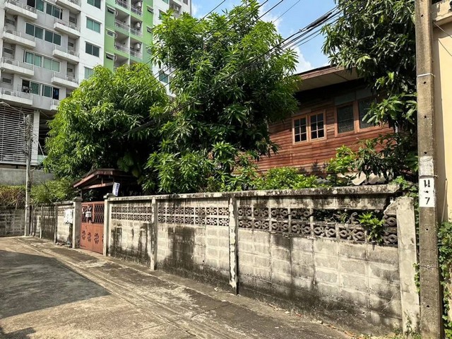 *****ปัจจุบัน  รื้อบ้านไม้ออกแล้ว ****ขายที่ดิน 99 ตรว. หน้ากว้างที่ดิน 21 เมตร ลึก 21 เมตร (แปลงมุม)สะดวกแม้ไม่ต้องใช้รถ เดินสบายใกล้ถนนใหญ่เพียง 2 นาที ใกล้ รถไฟฟ้าสายสีม่วง MRT แยกติวานนท์  ใกล้ บิ๊กซี ติวานนท์  , เซเว่น หน้าปากซอย ร้านค้า ร้านอาหาร , ไปรษณีย์ , ตลาด ฯ โฉนดพร้อมโอนhttps://maps.app.goo.gl/17ThtK4keXY8ha519..เข้า - ออก 2 ทาง 1.  เข้าซอย ( วัดลานนาบุญ ) จาก ถ.ประชาราษฎร์ เข้าซอยประชาราษฎร์ 1 แยก 1   �