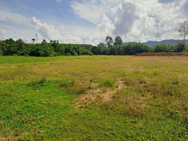 #ขายที่ดินถมแล้ว ด้านหน้าติดถนนด้านหลังติดแม่น้ำ อำเภอพะโต๊ะ จังหวัดชุมพร เนื้อที่ 13 ไร่#รายละเอียดและที่ตั้งทรัพย์-ที่ดินเนื้อที่ 13 ไร่ (โฉนด 2 ใบติดกัน) ถมแล้ว-ตั้งอยู่ตำบลพะโต๊ะ อำเภอพะโต๊ะ จังหวัดชุมพร-ทำเลดีด้านหน้าติดถนนด้านหลังติดแม่น้ำ วิวภูเขาเมืองในสายหมอก-วางระบบสาธารณูปโภคครบทั้งไฟฟ้าประปา-ห่างจากสนามบินระนองเพียง 30 กิโลเมตร***ราคาขายเพียงไ�