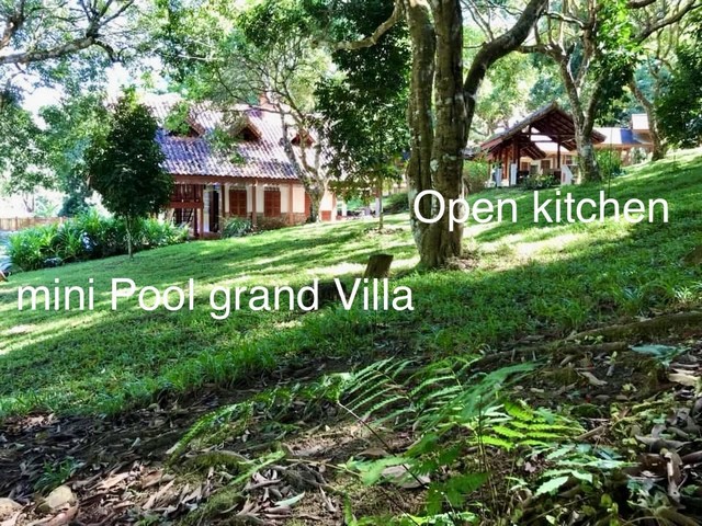 # ขายรีสอร์ท   บ้านโท้งป่าซาง อ. แม่แตง จ.เชียงใหม่มีอาคาร  9 หลัง   ในสวนลิ้นจี่  เนื้อที่   9 ไร่(5  ไร่  นส.3  )( ที่เหลือเอกสารครอบครองมากกว่า50ปี  ) สภาพดี  facilities  พร้อมอยู่ต่อได้ทันที#9 อาคารประกอบด้วย-mini Pool grand Villa (12x9.5m.)ทรงสวิสผสานล้านนาทำด้วยไม้แดง2ชั้นหลังคากระเบื้องดินเผาแกร่งจากฝรั่งเศสพร้อมห้องซาวน่าและเตาผิง,-บ้านทรงอยุธยาประยุกต์ไม้สักโครงเหล็ก2หลังขนาดหลังละ 12x7.5ม.,-�