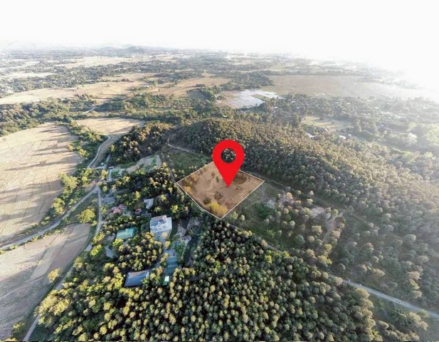 #  ขายที่ดินเนินเขา 5-3-42 ไร่ สันทราย (หนองแหย่ง) เชียงใหม่   ที่ดินสวยบนเนินเขา บรรยากาศเงียบสงบ เป็นส่วนตัว เหมาะสำหรับคนที่มองหาคุณภาพชีวิต และการลงทุนระยะยาวรายละเอียดที่ดิน ที่ตั้ง: ต.หนองแหย่ง อ.สันทราย จ.เชียงใหม่ การเดินทางสะดวก ไม่ไกลเมือง แต่สงบ ไม่พลุกพล่าน ขนาด: 5-3-42​ไร่ ลักษณะ: ที่ดินเนินเขาสวย ไม่ต้องถมมาก ระบายน้ำดี วิวโล่ง โปร่งสบาย  ราคา​: ขาย  8.5  ล้�