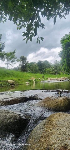 ขายที่ดินติดน้ำ #บ้านปง #หางดง (Eng Below)1 ไร่ตรว.ละ 17,600 อยากได้อสังหาโซนไหน สอบถามเข้ามาได้เลยm.me/northernlandchiangmai  -----------------------------------------------------ต้องการอสังหาแบบไหนที่ Northern Land Chiangmaiเรามีครบ ครอบคลุม #ทั่วเชียงใหม่ ไม่ว่าจะเป็น#พูลวิลล่า #บ้านใหม่ #บ้านมือสอง #บ้านเช่า #คอนโด #อสังหาพร้อมผู้เช่า #หอพัก #อพาร์ทเม้นท์ #ที่ดินบริ​การยื่น​สินเชื่อ​ทุก​ธนาคาร​ฟรี​ ไม่มีค่าใช้จ่ายยินดีให้คำปรึกษ�