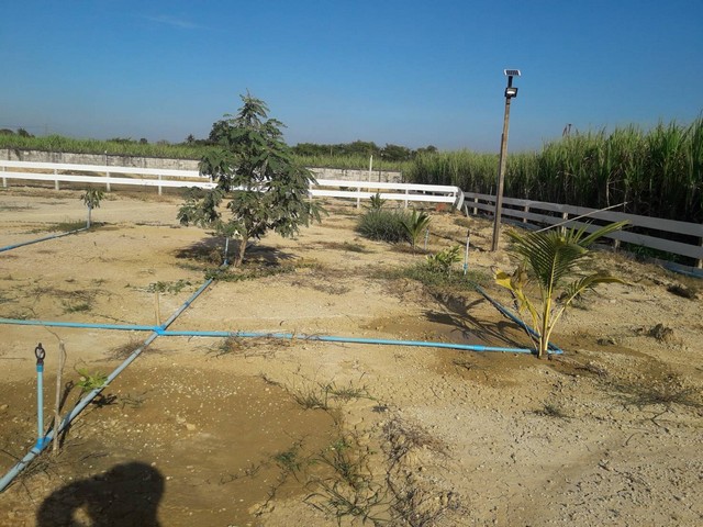 #ที่ดินแบ่งแปลงขาย อำเภอเมือง จังหวัดนครปฐม เริ่มต้น 200 ตารางวา#รายละเอียดและที่ตั้งทรัพย์-ที่ดินแบ่งแปลงขาย เริ่มต้น 200 ถึง 300 ตารางวา-ตั้งอยู่เลขที่ 151/4 หมู่ 7 ตำบลบ้านยาง อำเภอเมืองนครปฐม จังหวัดนครปฐม-ใกล้ CJ เซเว่นอีเลฟเว่น ตลาดนัดมีทุกวัน-บรรยากาศดี เหมาะสำหรับสร้างบ้านพักอาศัย**ราคาขายเพียงตารางวาละ 4,000 บาท(ค่าภาษีผู้ขายจ่ายให้)#เจ้าของขายเอง##สนใจติดต่อโ�