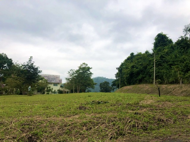 ขายที่ดิน 1-0-70ไร่ ในสนามกอล์ฟเซอร์เจมส์คันทรีคลับ Forest Hill อ.มวกเหล็ก สระบุรี แปลงมุมฟรีเมมเบอร์กอล์ฟตลอดชีพด้วย ( เจ้าของรับสิทธิ์สมาชิกสนามกอล์ฟฟรีตลอดชีพ )ราคาขาย 13,630,000 บาท ( ราคา 29,000 บาท / ตารางวา )ที่ตั้ง ถนนมิตรภาพ สนามกอล์ฟเซอร์เจมส์คันทรีคลับ (Forest Hill) ตำบลมิตรภาพ อำเภอมวกเหล็ก สระบุรีติดต่อ : คุณภัสพงณ์ 0634098164Line : deedaa23เนื้อที่ 1-0-70 ไร่ หน้ากว้างประมาณ 37 เมตร ความลึกประมา�