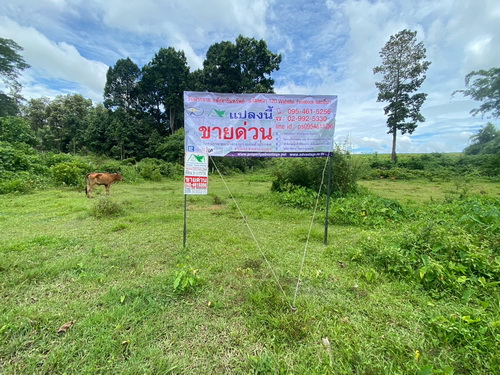 ขายที่ดิน 3-1-59 ไร่ เชียงราย – ทำเลดี ติดถนนลาดยาง เหมาะสร้างบ้าน & เกษตรกรรม2603ACL2049  ขายที่ดิน 3-1-59 ไร่ หน้ากว้าง 59 เมตร ลึก 105 เมตร ที่ดินสวย ล้อมรั้วลวดหนาม ติดถนนลาดยาง สภาพแวดล้อดี สงบร่มรื่น ด้านหลังเป็นเนินวิวสวย เหมาะสำหรับสร้างบ้านพักตากอากาศ ทำการเกษตร   หรือซื้อเก็บเก็งกำไร2603ACL2049  Land for Sale – 3-1-59 Rai in Chiang Rai 