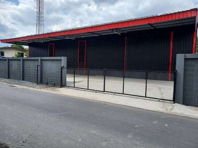 ให้เช่าโกดัง 220 ตรม ที่ดิน 150 ตรว. ซอยลาดพร้าว 101 โพธิ์แก้ว ใกล้ทางด่วน เดินทางสะดวก *** ราคาเช่า 65,000 บาท/เดือนติดต่อ: ชยา โทร/ID Line:: 0942823961   Link Line:: https://line.me/ti/p/3xFA1An8Kcรหัส# PR431โกดัง ซอยลาดพร้าว 101 ใกล้โพธิ์แก้ว นวมินทร์ ใกล้วัดบึงทองหลาง• ที่ดินขนาด 150 ตารางวา• พื้นที่ใช้สอย 220 ตารางเมตร• จอดรถ 3-5 คัน• ห้องน้ำ- หมายเหตุ มีสำนักงานตู้คอนเทนเนอร์ผู้เช่าเดิมขาย เรื่องราคาแวะเข้ามาดูและคุยกั