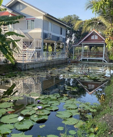บ้านชั้นเดียว โครงการกนกกุล 3 คลอง 14 ปทุมธานีบ้านพร้อมอยู่ บรรยากาศเงียบสงบ พื้นที่กว้าง เหมาะสำหรับอยู่อาศัยหรือพักผ่อนรายละเอียดบ้าน&nbsp;&nbsp;&nbsp;•&nbsp;&nbsp;&nbsp;บ้านชั้นเดียว&nbsp;&nbsp;&nbsp;•&nbsp;&nbsp;&nbsp;พื้นที่ 300 ตารางวา&nbsp;&nbsp;&nbsp;•&nbsp;&nbsp;&nbsp;2 ห้องนอน 2 ห้องน้ำ&nbsp;&nbsp;&nbsp;•&nbsp;&nbsp;&nbsp;1 ห้องครัว 1 ห้องโถง&nbsp;&nbsp;&nbsp;•&nbsp;&nbsp;&nbsp;พื้นที่ใต้ถุนโล่ง ปูกระเบื้องแกรนิตโต้&nbsp;&nbsp;&nbsp;•&nbsp;&nbsp;&nbsp;เคาน์เตอร์บาร์นั่งชมวิว&nbsp;&nbsp;&nbsp;�