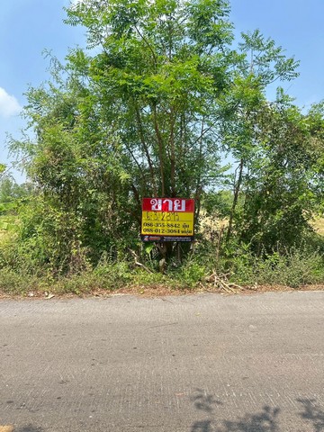 ZT923ขายที่ดิน ซอยองค์การบริหารส่วนจังหวัด นครนายกเนื้อที่ 6-3-28 ไร่กว้าง 60 เมตร ลึก 182 เมตรที่ตั้ง : ตำบลบางสมบูรณ์ อำเภอองครักษ์ จังหวัดนครนายก สถานที่ใกล้เคียง-ที่ทำการกำนันตำบลบางสมบูรณ์-โรงเรียนบ้านเตยใหญ่-ศูนย์ปฏิบัติธรรมนครนายกขาย 6,300,000 บาท / 900,000 บาท ต่อไร่ ติดต่อหนุ่ม 0880123084ยุ้ย 0863558842รับฝาก-ขาย บ้านที่ดิน อสังหาริมทรัพย์ทุกประเภทบริษัท เซียน พร๊อพเพอร์ตี้ จำกั�