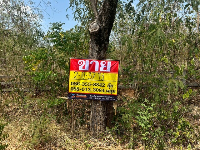 ZT922ขายที่ดิน ในโครงการ Palm Valley Cafe & Farm (ปาล์ม วัลเลย์ คาเฟ่ แอนด์ ฟาร์ม) เนื้อที่ 2-0-37 ไร่กว้าง 82 เมตร ลึก 40 เมตร ที่ตั้ง : ต.คำพราน อ.วังม่วง จ.สระบุรีสถานที่ใกล้เคียง- ไอยู พูลวิลล่าอ่างเก็บน้ำมวกเหล็ก - iyou Poolvilla muaklek-  Madam Pat Cafe สระบุรี - วังม่วง - หมู่บ้านภัทร วิลเลจ สระบุรี-วังม่วง- ฟาร์มตะพานหิน (CP) - Farm Hug WangMoung Camping by Nam 1- อ่างเก็บน้ำมวกเหล็ก- เทศบาลตำบลวังม่วง- ตัวอำเภอวังม่วง - ตลาดสดเทศบาลวั�