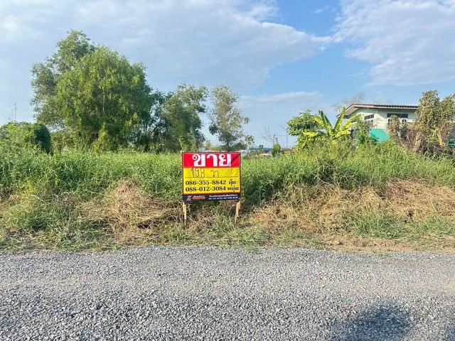 ZT920ขายที่ดิน ซอยสุวินทวงศ์ 51เนื้อที่ 198 ตารางวากว้าง 22 เมตร ลึก 36 เมตรที่ตั้ง: ซอยสุวินทวงศ์ 51 ตำบลหนองจอก อำเภอเจียระดับ จังหวัดกรุงเทพมหานครสถานที่ใกล้เคียง * Harajuku Thailand (ฮาราจูกุ ไทยแลนด์):* Barakat LunLa Land Café and Farms:* เรือนไทย ริมทะเลสาบ หนองจอกคาเฟ่และร้านอาหาร* Dibble B Cafe:* Bitter House Sansab:* ชอบกระเพรา:* Voodoo Café:วัดและสถานที่ศักดิ์สิทธิ์* วัดประยงค์กิตติวนาราม:* วัดแสนสุข:ขาย 2,000,000 บาทติดต่อหนุ่ม 0880123