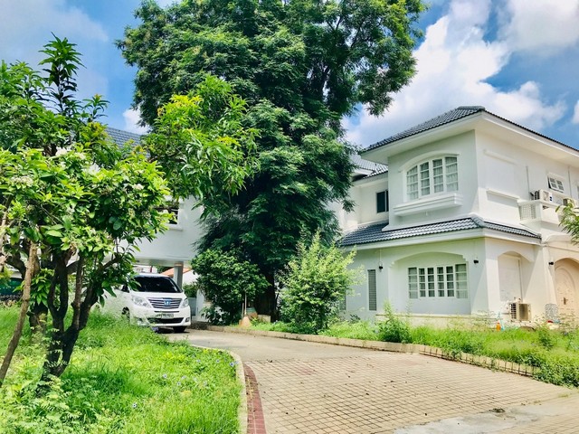  ขายด่วน! บ้านหรู 2หลังติดกัน ในหมู่บ้านลดาวัลย์ ปิ่นเกล้า – บรมราชชนนี  ทำเลศักยภาพ ติดถนนใหญ่ เดินทางสะดวก บ้านสวย พื้นที่กว้างขวาง พร้อมอยู่ ที่ตั้ง: หมู่บ้านลดาวัลย์ ปิ่นเกล้า–บรมราชชนนี เนื้อที่ดิน 366 ตารางวา  พื้นที่ดิน : สีเขียว พื้นที่ใช้สอย 340 ตารางเมตร รายละเอียดบ้าน -3 ห้องนอน 3 ห้องน้ำ  -1 ห้องครัว -6 ห้องพักคนงาน (แยกจากตัวบ้าน)  -หน้าบ้านทิศใต้ ลมดี แดดไม่�