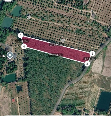 #ขายที่ดินเมืองระยอง#ขายที่ดินระยอง 5 ไร่พร้อมสวนยาง????ตำบลบ้านแลง อำเภอเมือง จังหวัดระยอง➡️ที่สวย ทางเข้า 2 ทาง➡️น้ำ ไฟ เข้าถึง➡️โฉนดไม่มีติดจำนอง✅ใกล้ถนนหลัก โรงเรียน ร้านค้า รีสอร์ท สวนผลไม้????อยู่ห่างกับอบตระยอง 20 กม.????ห่างจากหาดแหลมเจริญ 18 กม.????อยู่ห่างจากวัดป่าประดู่พระอารามหลวง 12 กม.????ห่างจากเทศบาลเมืองระยอง 11 กม.????ขายราคาไร่ละ 1.6 ล้านบาท____________________________สนใจติ