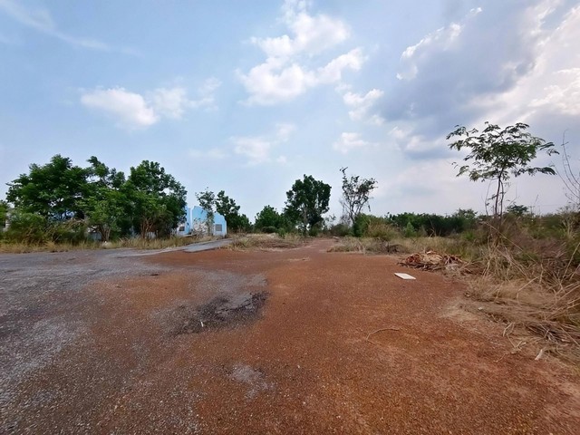 #ขายที่ดินสวยปราจีนบุรี#ขายที่ดินพร้อมใบอนุญาต 105 106????อ.ศรีมหาโพธิ  จ.ปราจีนบุรี✴️เนื้อที่ดิน   39-2-35  ไร่????ราคาไร่ละ  1.6  ล้านบาท✴️รายละเอียดทรัพย์????ที่ดินจำนวน  39-2-35  ไร่????ที่ดินหน้ากว้างติดถนน3021     ประมาณ 308  เมตร????เดิมพื้นที่ทำเกี่ยวกับผลิตยาง    กะตอย????พื้นที่ดินมีใบอนุญาต 105 และ   106  เกี่ยวกับ (นำของเสียมา    ผลิตเป็นวัตถุดิบ คัดแยกวัสดุที่    ไม่ใช้แล้วที่ไม่เป็นอันตราย)???