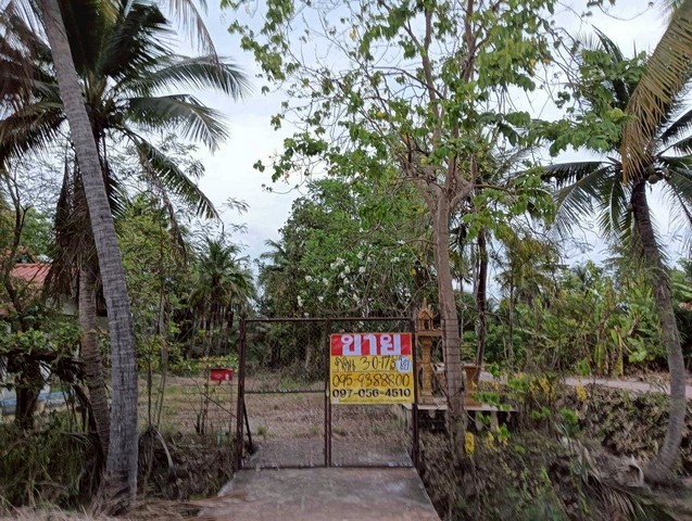 ZSK031ขายบ้านพร้อมที่ดินสวนมะพร้าวตำบลคุ้งน้ำวน  อำเภอเมือง ราชบุรีเนื้อที่ 3-0-17 ไร่ วิวธรรมชาติบ้าน 2 ห้องนอน 1 ห้องน้ำ 1ชั้นพื้นที่สวย บรรยากาศธรรมชาติ มีต้นมะพร้าวให้ผลผลิต เหมาะสำหรับทำสวนต่อยอด หรือพัฒนาเป็นบ้านสวน/รีสอร์ทเล็กๆเหมาะทำเกษตรเหมาะทำบ้านพักตากอากาศเหมาะลงทุนระยะยาวบรรยากาศเงียบสงบ อากาศดีราคา 2,000,000 บาทติดต่อสอบถามรายละเอียด / นัดดูที่ดิน �