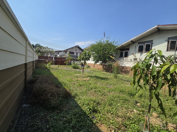 ขายที่ดินเปล่าเดินถึงรถไฟฟ้า ติดแมคโครทำเลทอง หายาก ซ.แจ้งวัฒนะ – ปากเกร็ด 38โอกาสดีสำหรับอยู่อาศัยหรือการลงทุน! รายละเอียดที่ดินขนาด 49.7 ตารางวากว้าง10ม ยาว20มหันหน้าทางทิศใต้ที่ดินถมแล้วแน่นมาก ถมมาหลายปีล้อมรั้วคอนกรีตอย่างดี พร้อม ประตูรั้วเลื่อนภายในปลูกต้นมะม่วง รอเก็บเกี่ยว บรรยากาศร่มรื่นพร้อมใช้งาน ไม่ต้องถมเพิ่ม ทำเลศักยภาพ ใจกลางแจ้งวัฒนะต�