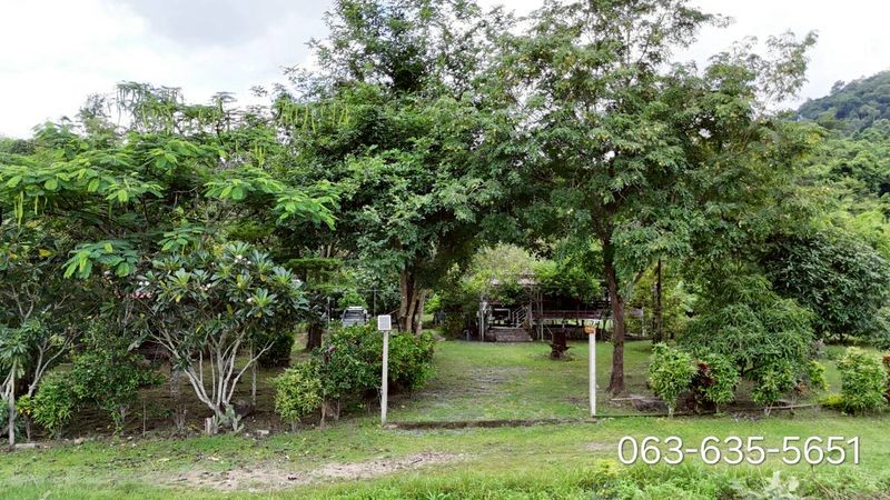 สนใจมาเที่ยวชมโทร ติดต่อ นกได้หลายช่องทางนะคะโทร. 061-494-9665โทร. 063-635-5651 (เบอร์นี้ไลน์เต็มค่ะ)ไลน์ไอดี : @nyland789(ไลน์คลิ๊กแล้วทักมาได้เลยค่ะ) https://lin.ee/R8sP0rj____________________________หนีฝุ่นมาฟอกปอดกันบ้านสวนติดเขาลำดวนเนื้อที่ 294 ตรว. 3.5 ล้าน รวมโอน ต.เขาพระ อ.เมืองนครนายกโฉนดครุฑแดงพร้อมโอน โฉนดแปลงสุดท้ายที่ติดเขาลูกนี้ค่ะชมคลิปรีวิวที่นี่จ้า https://youtu.be/nlXeiycooLw?si=ABpdWigAn-ciqVMcลักษณะเป็นที่เนินรูปที่สี่�