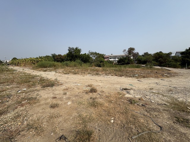 ขาย ที่ดินเปล่า&nbsp;ซอย มาเจริญ แยก 3-7เนื้อที่ 15 ไร่ 3 งาน 45 ตร.ว.Sาคาตารางวาละ 35,000 เท่านั้นเข้าได้ทั้งซอย เพชรเกษม 81 และ เพชรเกษม 79&nbsp;ใกล้วัดอุดมรังสื&nbsp;เหมาะสร้างโรงงาน /โกดัง /คลังสินค้าที่ดินถมแล้ว พร้อมก่อสร้างทันทีโฉนดพร้อมโอนสนใจติดต่อสอบถาม/นัดชมCALL: 096-663-9145Line OA : @disayapropertyhttps://lin.ee/OsL6D1JWhatsApp : 0966639145#DISAYAProperty #ดิษยาพร็อพเพอร์ตี้&nbsp; #ที่ดินเปล่า #ที่ดินเปล่าโซนหนองแขม #ที่ดินฝั่งธน 