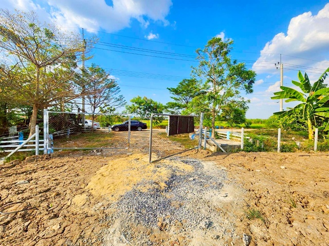 ถ.คลองเก้า 820ม. ถ.ไมตรีจิต สามวาตะวันออก ที่ดินให้เช่า  1.5ไร่ ใกล้ตลาดสามวา 600 ม. รูปแปลงยาวสวย 600 ตร.ว. 2400 ตร.ม. ทางเข้า กว้าง 7 ม. 4,999-7,999 B-M. เหมาะทำโกดัง ลานจอดรถ หรือกิจการขนาดกลาง ทำเลอยู่ในเขตคลองสามวา เดินทางสะดวก รถบรรทุกเข้า-ออกสะดวก ใกล้แหล่งชุมชน รร.วัดคลองสามวา 850 ม.เชื่อมต่อถนนหลักได้ง่าย SamWa East Land for rent 1.5Rai  KhlongKao Rd.820m.Maitrijit Rd. near SamWa Market 600m. away Beautiful long plot 600 sq.wa. 2400 sq.m. 7 m. wide entrance 4,999-7,999B-M Suitable for warehouse parking lot or 