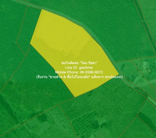 DSL-1327สนใจติดต่อ: โดม รัชดา (Exclusive Contract)โทร: 065-586-9872ไลน์ไอดี: 0655869872 หรือ giantmw หรือ @yem0202nFacebook: https://bit.ly/3vdegO8Fanpage: https://bit.ly/488TrlDพิเศษ: รับซื้อ-ขาย และจัดหารถยนต์มือ 2 ทุกรุ่น & ทุกงบประมาณ.ขายที่ดินทางการเกษตรแปลงใหญ่ อ.ภูเรือ จ.เลย 18-2-64 ไร่ ราคา 5.59 ล้านบาท .รายละเอียดทรัพย์: 1. ที่ดินทางการเกษตรแปลงใหญ่ (โฉนดครุฑแดง) เนื้อที่ 18-2-64 ไร่ โดยมีสวนยางประมาณ 10 ไร่ และด้านหน้าติดถนนคอนกรีต กว้าง 4.5 ม. 2. ขนาดพื้นท�